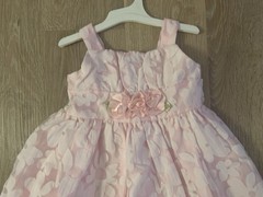 Youngland Baby Girl’s Size 18 Months Gorgeous Pink Floral Special Occasion Dress