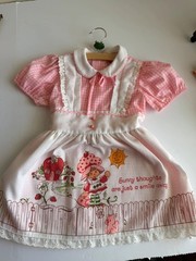 Vintage 1981 Strawberry Shortcake Petite Frocks Dress Pink Gingham 2T/3T