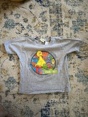 Vintage Sesame Street Grey T-shirt Basic Shirt 2004 Boys Size 3T