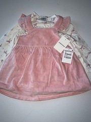 NWT Nordstrom Baby Girl Pink Velvet Dress Size 12 Months