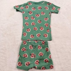 Hanna Andersson Kids 3T Ladybug Organic Cotton Short Pajama Set Green 90cm