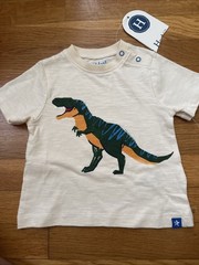 NWT Hatley T Rex Graphic Tshirt 3-6 Months