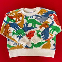 Hanna Andersson Adorable Dinosaur Waffle Knit Top. Boxy Fit. Size 3 Years. 90 cm