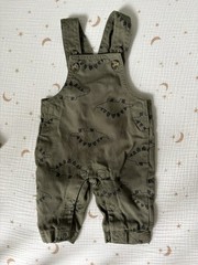 Carter’s Preemie Green Overall And Long sleeved Crewneck Dinosaur Outfit NWOT