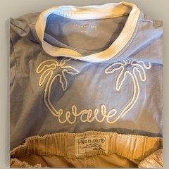 Boys shorts t-shirts lot Size 4T Janie Jack Gap Summer Outfit