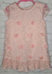 Nanette Lepore Pink 3D Embroidered Flowers Appliques Dress Girls Size 5-6