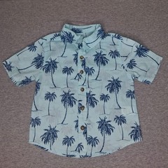 Carters 3 Piece Bundle Shorts And Button-down T-shirt Beach Plaid 18 Months 2T