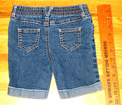 Faded Glory Toddler Girl Denim Shorts Embroidered Stars Butterfly Flowers 24M