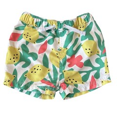 Hanna Andersson Swim Shorts Toddler Size 2T Multi Color Lemons