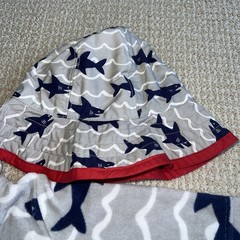 Pottery Barn Kids Boys Hooded Terry Cloth Beach Cover Up, hat, Pant, Shark