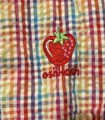 OshKosh Plaid Seersucker Cotton Sleeveless Snap Apple Romper 6-9M