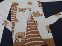 Carters Boys 2T bear Theme PAJAMA SETS x2 So cute