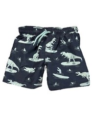 H&M Toddler Boys Dinosaur Surfing Printed Swim Trunks Size 2-4 Years (3T/4T) $18