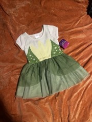Disney Princess Tiana Dress Size 2T