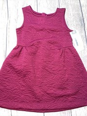 Genuine Kids by Oshkosh 2T Jacquard Floral Berry Jumper Dress NEW