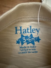 NWT Hatley T Rex Graphic Tshirt 3-6 Months