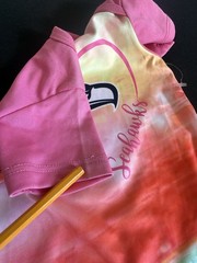 Seattle Seahawks Bodysuit Baby Girl 0-3 Month NFL Team Apparel Pink New No Tag