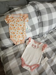 (Lot Of 2) Girl’s Milkberry And Chickpea Organic Rompers 6-9 Months