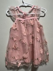 Tulle Dress with Embroidered Flowers In Rose Baby Girl Size 12 Months No Size