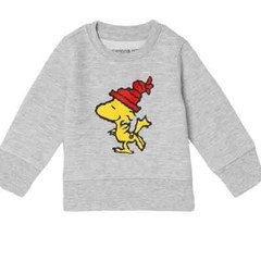 Peanuts Infant (3-6M) Boys Gray Charlie Brown Christmas Woodstock Sweatshirt Top