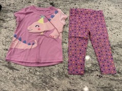 Carters & Wonder Kids Toddler Girl 18 Months Purple Dinosaur Shirt And Pants