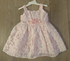 Youngland Baby Girl’s Size 18 Months Gorgeous Pink Floral Special Occasion Dress