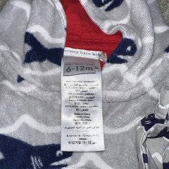 Pottery Barn Kids Boys Hooded Terry Cloth Beach Cover Up, hat, Pant, Shark