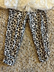 Young lad 24 Months 2 Piece Outfit With Leopard