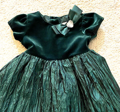 Youngland Baby Girls Dress Emerald Green Velvet Bodice Sleeves Size 18 Months