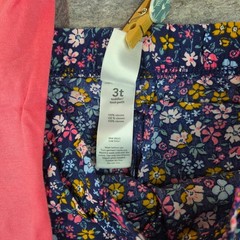 Carter’s Girls 2pc Jersey Peach Tee Top& Floral Pull-On Pant Set 2T,3T NWT