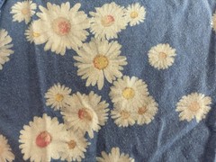 Carters Toddler Girl Floral 100% Cotton Fit & Flare Sleeveless Tank Dress Blue 4