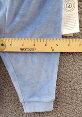 First Impressions Solid Velour Pull-on Pants Baby Boys 3-6 Months Blue Bell