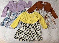 Girls Dresses Lot Of 3 With Cardigans Casual Size 3 Butterflies Flowers Daisies