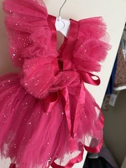 Baby Pink Fit & Flare Dress 9-12 Months Glitter Bow Ruffle Sleeveless Tulle