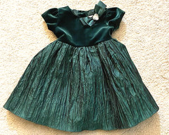 Youngland Baby Girls Dress Emerald Green Velvet Bodice Sleeves Size 18 Months