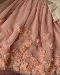 KensieGirl Pink Tulle Floral Embroidered Ruffle Fit & Flare Dress Girls 2T NWT