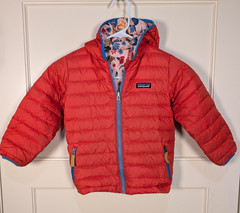 Patagonia Baby Reversible Down Sweater Hoody Seedling and Sprouts Seafan Pink 4T