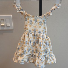 Rachel Zoe Floral Lined Dress With Ruffle Sleeves Size 24 M Cottagecore Cottage