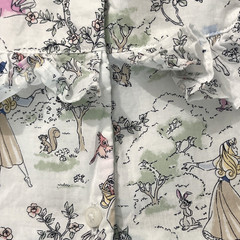 Disney x Janie and Jack Aurora Dress – Size 18/24M