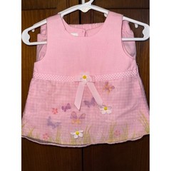 NWOT Pink Butterfly Floral Baby Dress & Capri Set