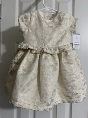 Carter’s Baby Girls Party Dress Ivory & Floral Gold Metallic Size 12 Mos NWT