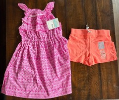Carter’s 5T Girls Orange Salmon Shorts & Pink Pattern Ruffled Dress New NWT