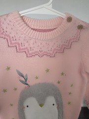 Baby Girls Jumper