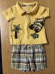 Gymboree Yellow Brown Green Turtle Polo Plaid Shorts Striped Socks 3-6 Months