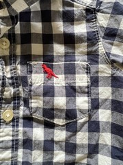 Carters Blue & White Plaid Collar Button-Up Long Sleeve Shirt with Red Dino – 3M