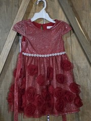 Girls 2T Red Glitter Tulle Fit & Flare Dress, Knee Length, Rosette Zip