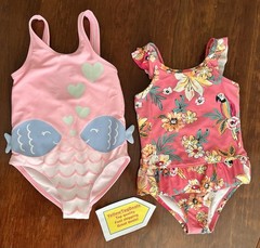 Two 2T Girls Swimsuits – Carters and Oshkosh – Gently Worn