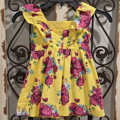 Disney x Janie and Jack Floral Dress Girls 2T Yellow Alice in Wonderland Ruffle
