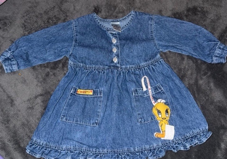 Warner Bros. Studio Store Tweety Blue Denim Fit & Flare Dress 18M