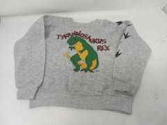 Vintage Todddler T Rex Graphic Long Sleeve Swearshirt Boy Girl Unisex